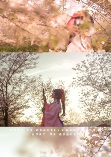 —— 樱 花 大 战 ——