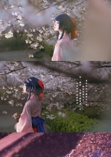 —— 樱 花 大 战 ——