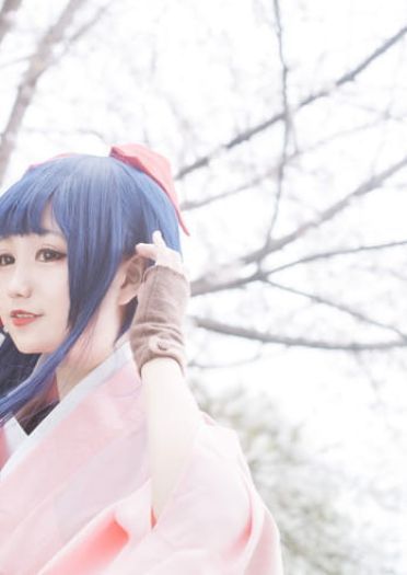 —— 樱 花 大 战 ——