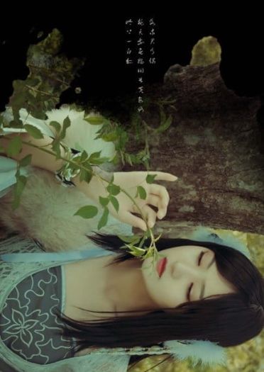 回首黄泉路，岭上一白狐