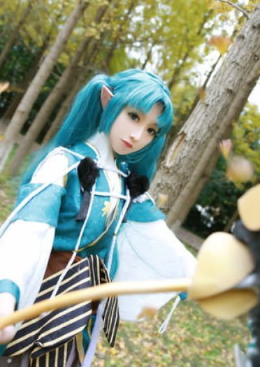 萤草—招财进宝