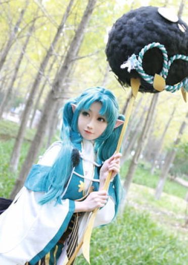 萤草—招财进宝