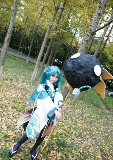 萤草—招财进宝