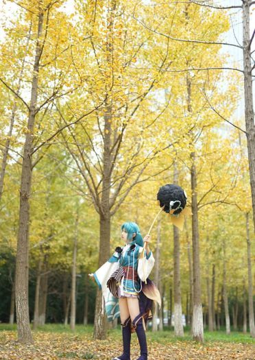 萤草—招财进宝