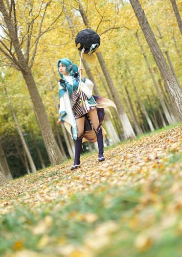 萤草—招财进宝