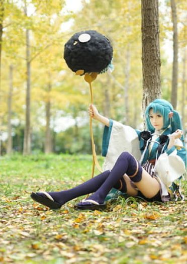 萤草—招财进宝