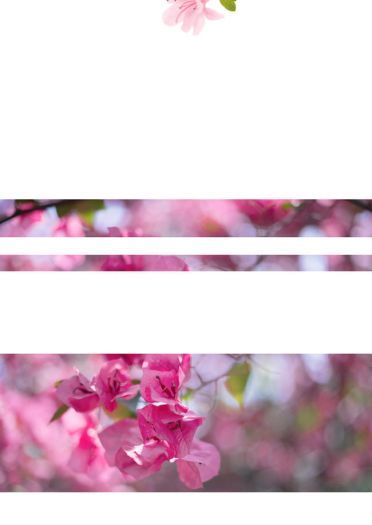 网易手游阴阳师 花鸟卷cosplay 图片(1)