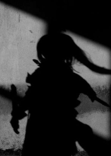 传说之刃-花木兰