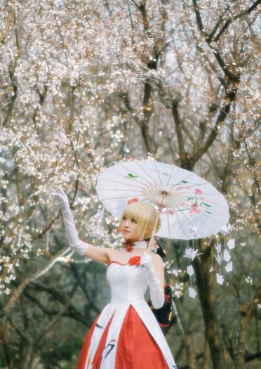 Fate/Grand Order saber