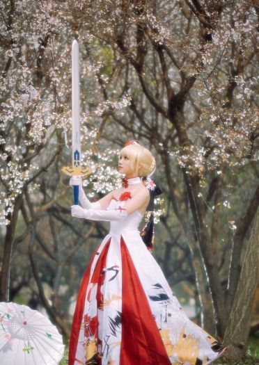 Fate/Grand Order saber