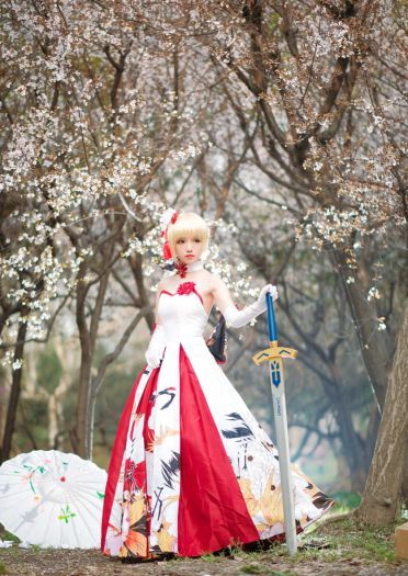 Fate/Grand Order saber