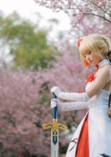 Fate/Grand Order saber