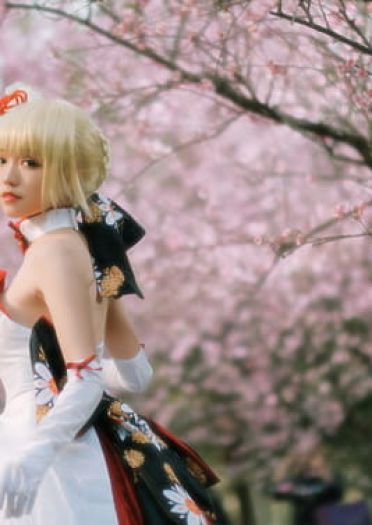 Fate/Grand Order saber