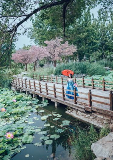 剑侠情缘网络版叁 七秀 御姐 cosplay