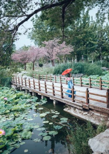 剑侠情缘网络版叁 七秀 御姐 cosplay