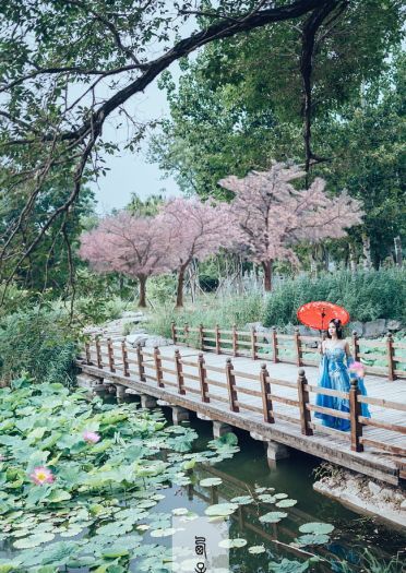 剑侠情缘网络版叁 七秀 御姐 cosplay