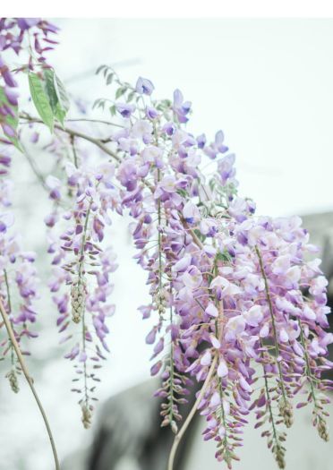 剑侠情缘网络版叁