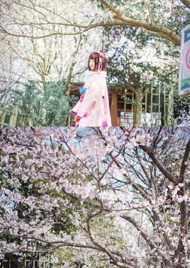 愿意和惠一起赏樱吗？ 路人女主的养成方法 cosplay