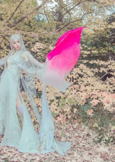 剑侠情缘网络版叁 云间金月