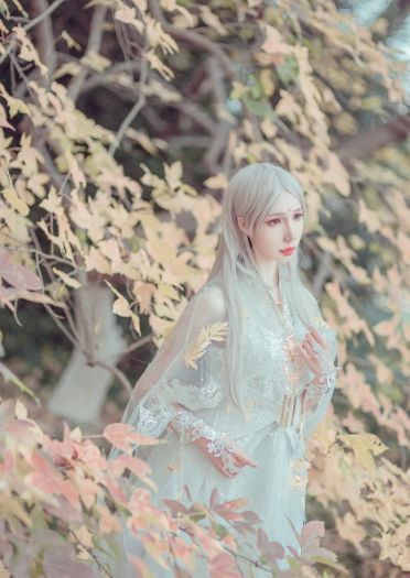 剑侠情缘网络版叁 云间金月