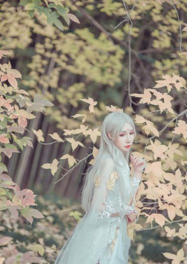 剑侠情缘网络版叁 云间金月