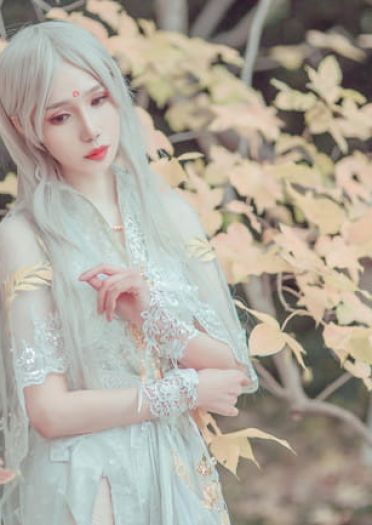 剑侠情缘网络版叁 云间金月