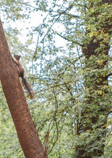不昧本来，太虚明月流辉过
