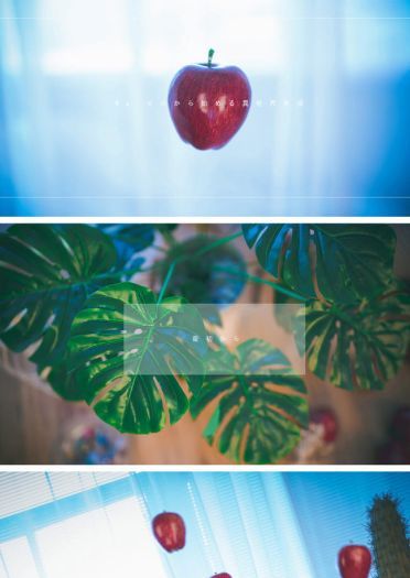 从零开始的异世界生活 拉姆蕾姆兔女郎 cosplay