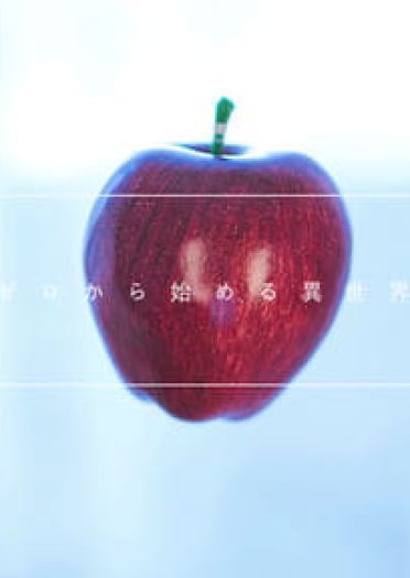 从零开始的异世界生活 拉姆蕾姆兔女郎 cosplay