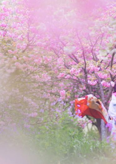 Fate/Grand Order 两仪式 cosplay