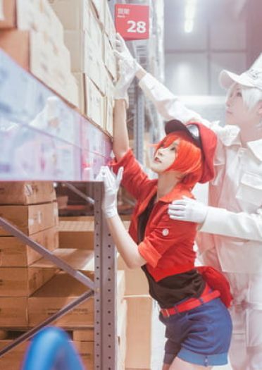 工作细胞 红血球 白血球 血小板 cosplay