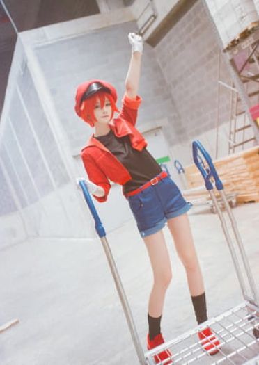 工作细胞 红血球 白血球 血小板 cosplay