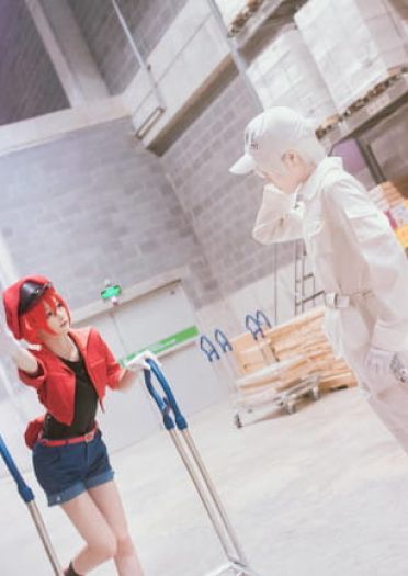 工作细胞 红血球 白血球 血小板 cosplay