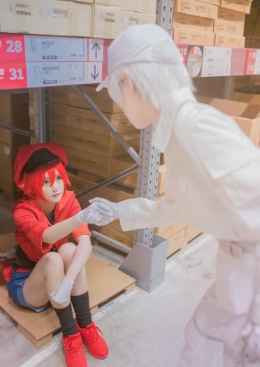 工作细胞 红血球 白血球 血小板 cosplay