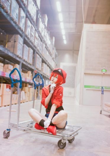 工作细胞 红血球 白血球 血小板 cosplay