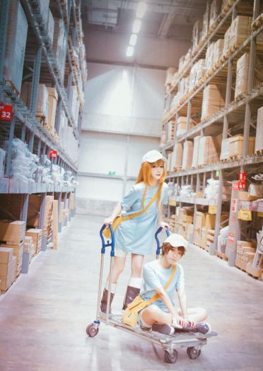 工作细胞 红血球 白血球 血小板 cosplay