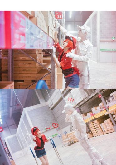 工作细胞 红血球 白血球 血小板 cosplay