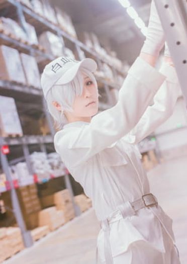 工作细胞 红血球 白血球 血小板 cosplay