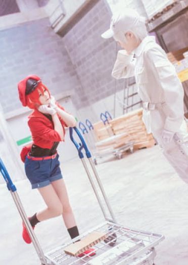 工作细胞 红血球 白血球 血小板 cosplay