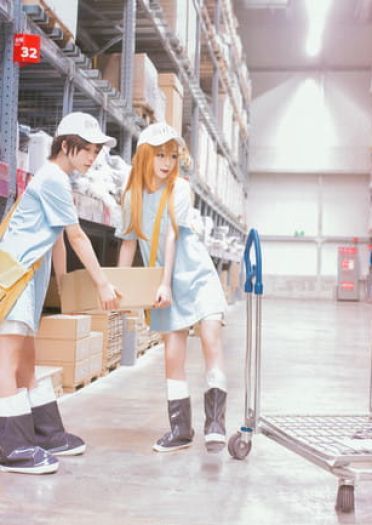 工作细胞 红血球 白血球 血小板 cosplay