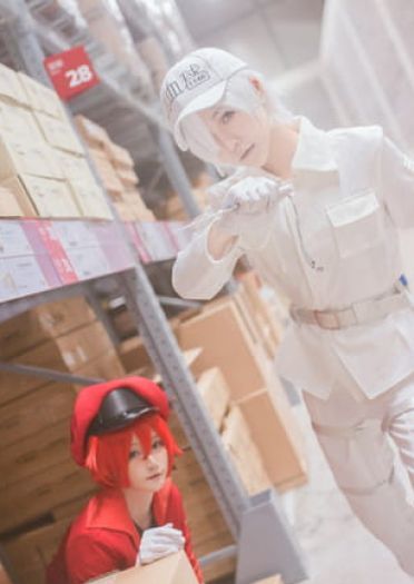 工作细胞 红血球 白血球 血小板 cosplay