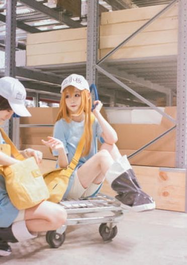 工作细胞 红血球 白血球 血小板 cosplay