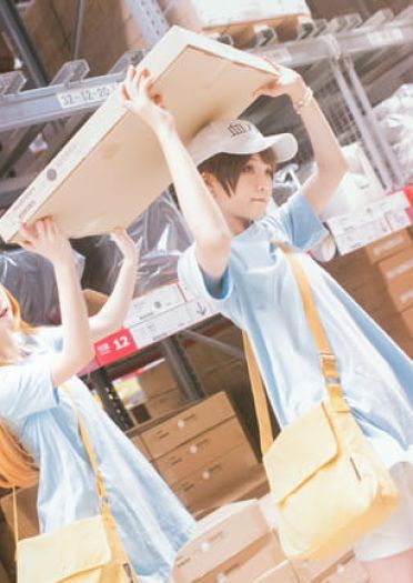 工作细胞 红血球 白血球 血小板 cosplay