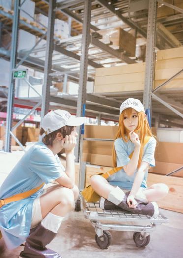 工作细胞 红血球 白血球 血小板 cosplay