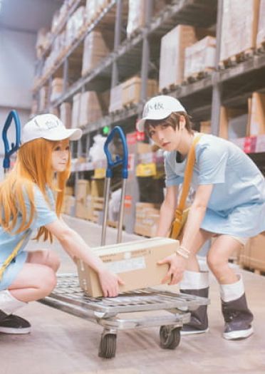 工作细胞 红血球 白血球 血小板 cosplay