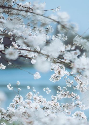 剑侠情缘网络版叁 七秀 剑三cosplay