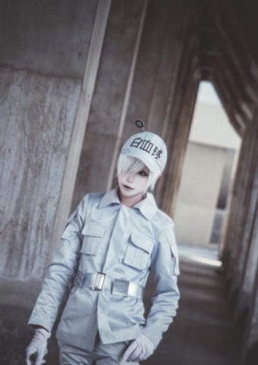 【cos正片】工作细胞 白血球