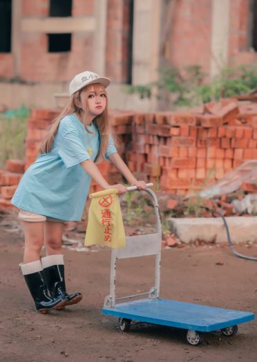 工作细胞 血小板 白细胞 cosplay