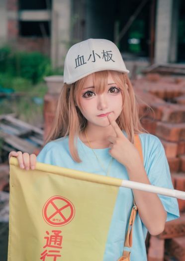 工作细胞 血小板 白细胞 cosplay