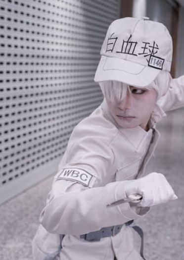 工作细胞 血小板 白细胞 cosplay
